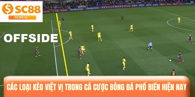 Kèo Việt Vị Là Gì? Cách Soi Kèo Luôn Thắng 100% Từ Cao Thủ Kèo Việt Vị Là Gì? Cách Soi Kèo Luôn Thắng 100% Từ Cao Thủ