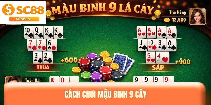 Tin Tức SC88 – Cập Nhật Khuyến Mãi Và Sự Kiện Hấp Dẫn