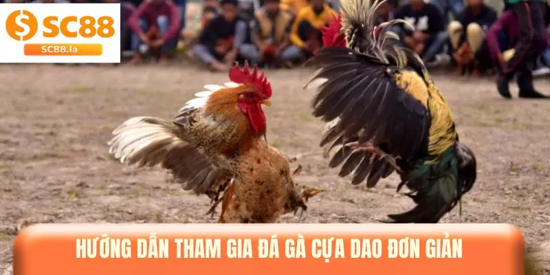 Đá Gà Cựa Dao - Hướng Dẫn Tham Gia Và Theo Dõi Các Trận Đấu