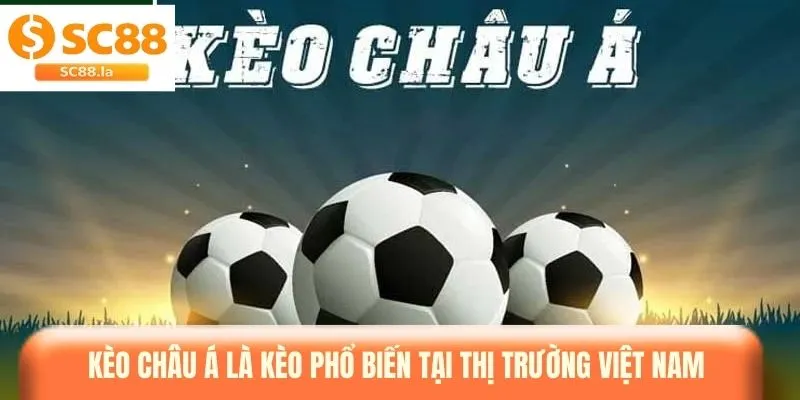 Thể Thao SC88 - Sân Chơi Cá Cược Đẳng Cấp Hàng Đầu Quốc Tế Thể Thao SC88 - Sân Chơi Cá Cược Đẳng Cấp Hàng Đầu Quốc Tế