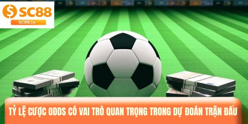 Cách Soi Kèo Odds Chuẩn Xác Cho Người Chơi Cá Cược Bóng Đá Cách Soi Kèo Odds Chuẩn Xác Cho Người Chơi Cá Cược Bóng Đá